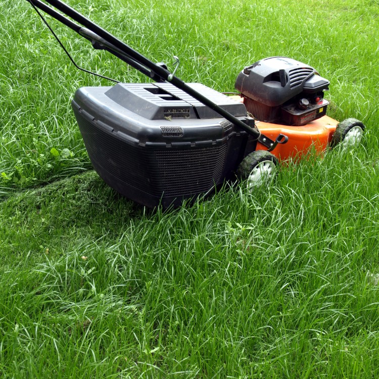Lawn Care and Landscaping in Haslet, TX Lawn Care and Landscaping in Haslet, TX