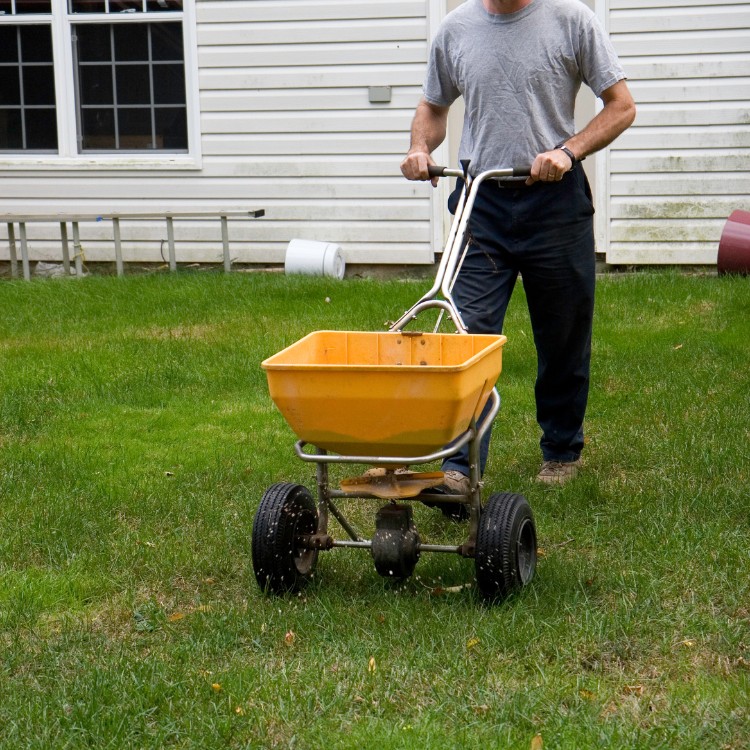 Lawn Care and Landscaping in Haslet, TX