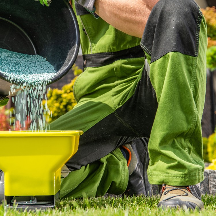 Lawn Care and Landscaping in Haslet, TX