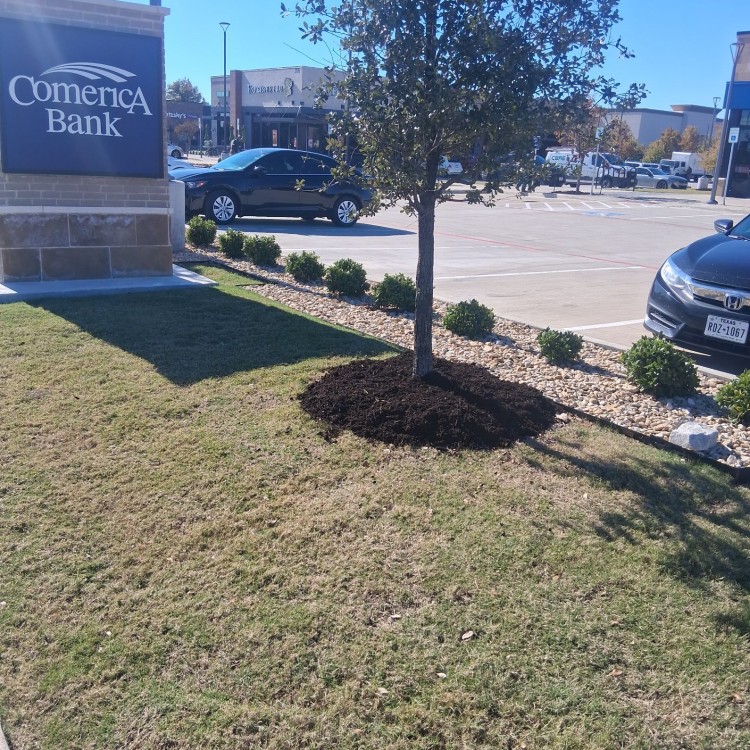 Lawn Care and Landscaping in Haslet, TX