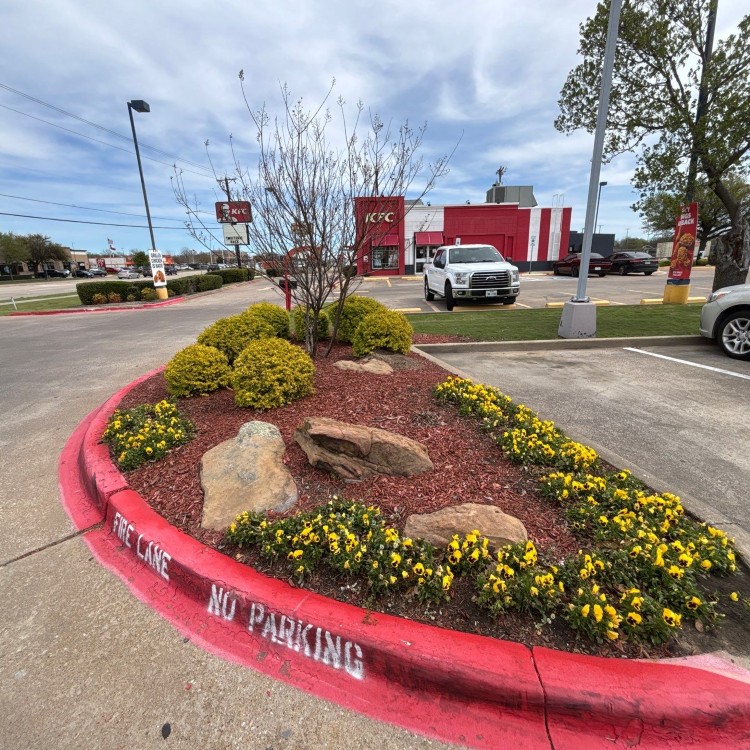 Lawn Care and Landscaping in Haslet, TX