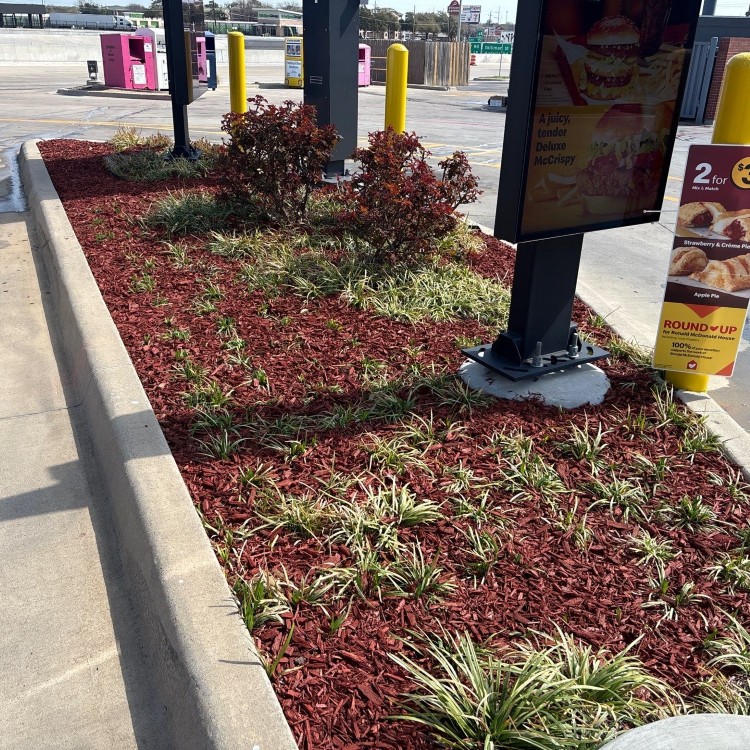 Lawn Care and Landscaping in Haslet, TX