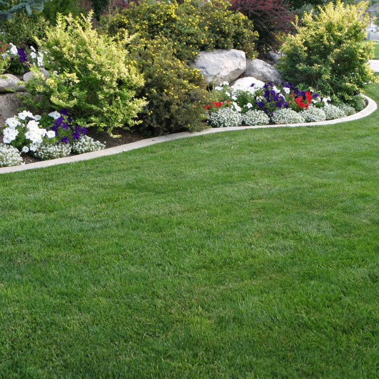 Lawn Care and Landscaping in Haslet, TX Lawn Care and Landscaping in Haslet, TX