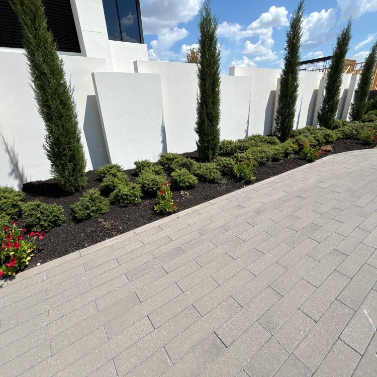 Lawn Care and Landscaping in Haslet, TX