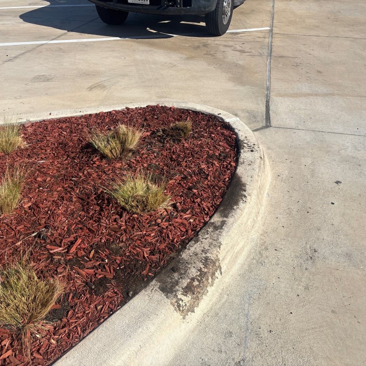 Lawn Care and Landscaping in Haslet, TX