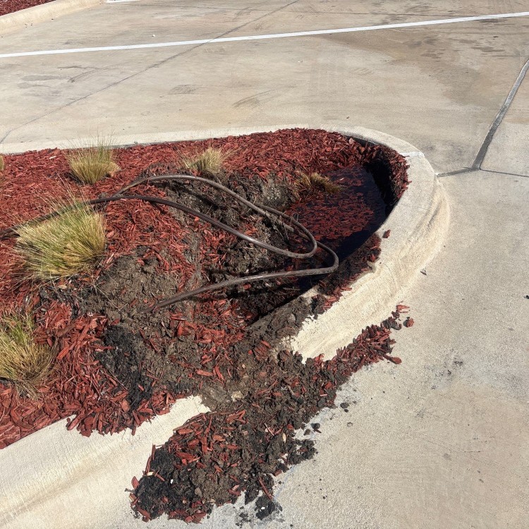 Lawn Care and Landscaping in Haslet, TX