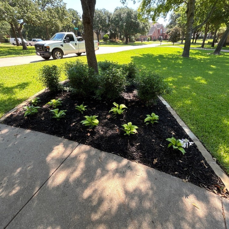 Lawn Care and Landscaping in Haslet, TX