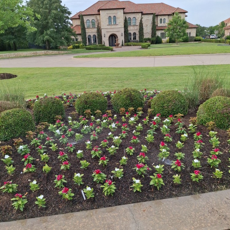Lawn Care and Landscaping in Haslet, TX