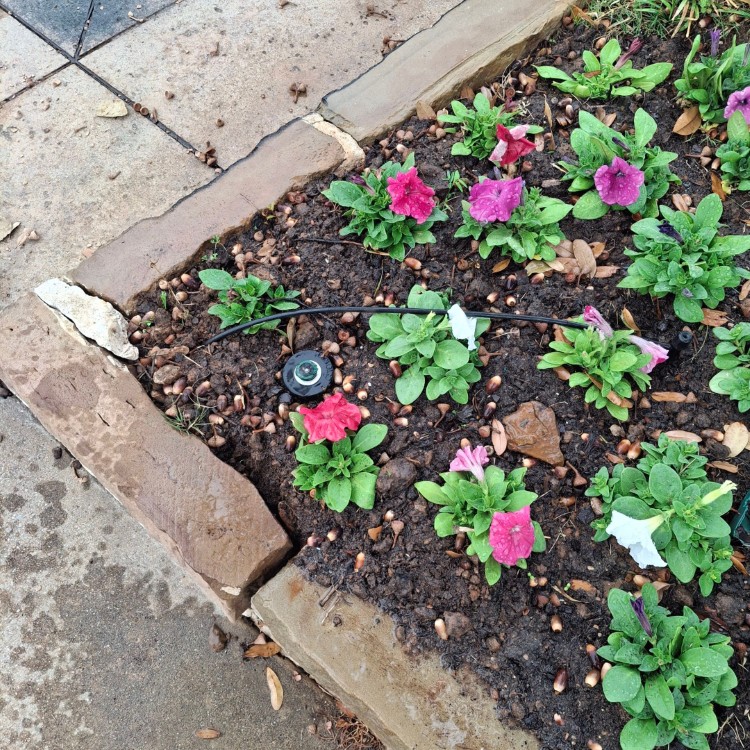 Lawn Care and Landscaping in Haslet, TX