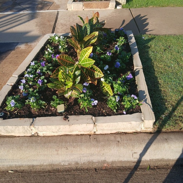 Lawn Care and Landscaping in Haslet, TX