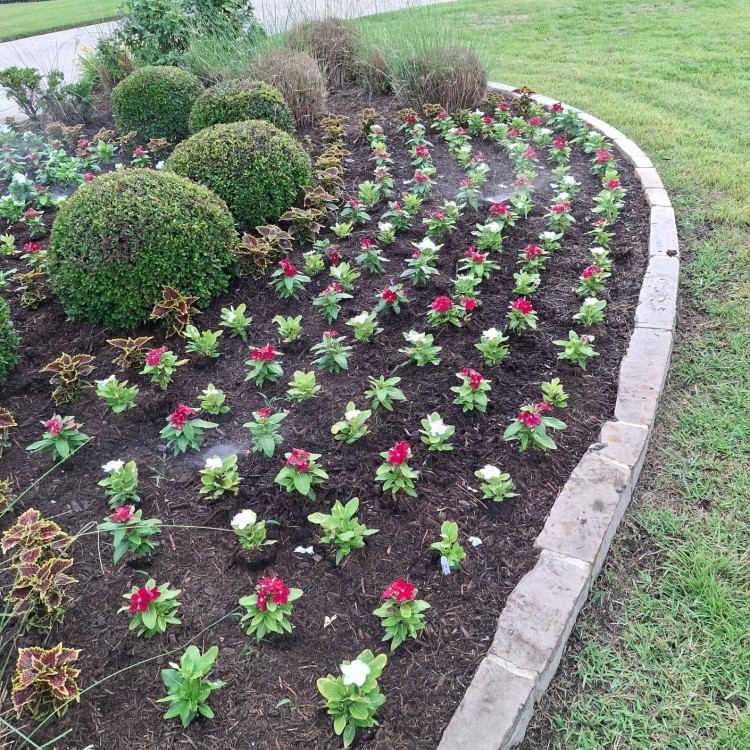 Lawn Care and Landscaping in Haslet, TX