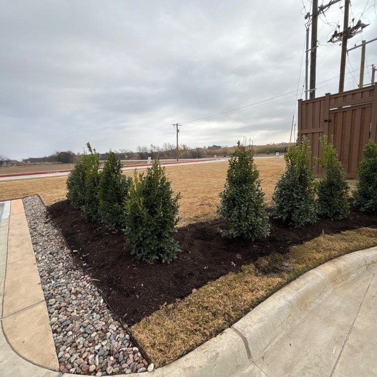 Lawn Care and Landscaping in Haslet, TX