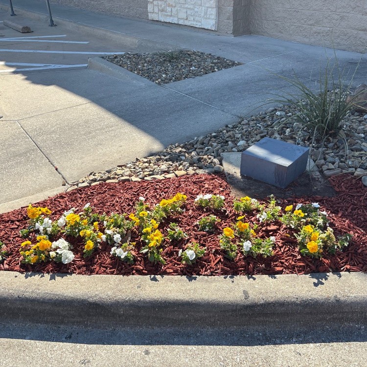 Lawn Care and Landscaping in Haslet, TX