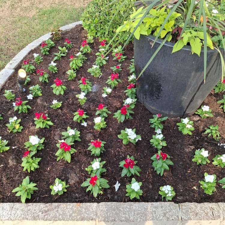 Lawn Care and Landscaping in Haslet, TX